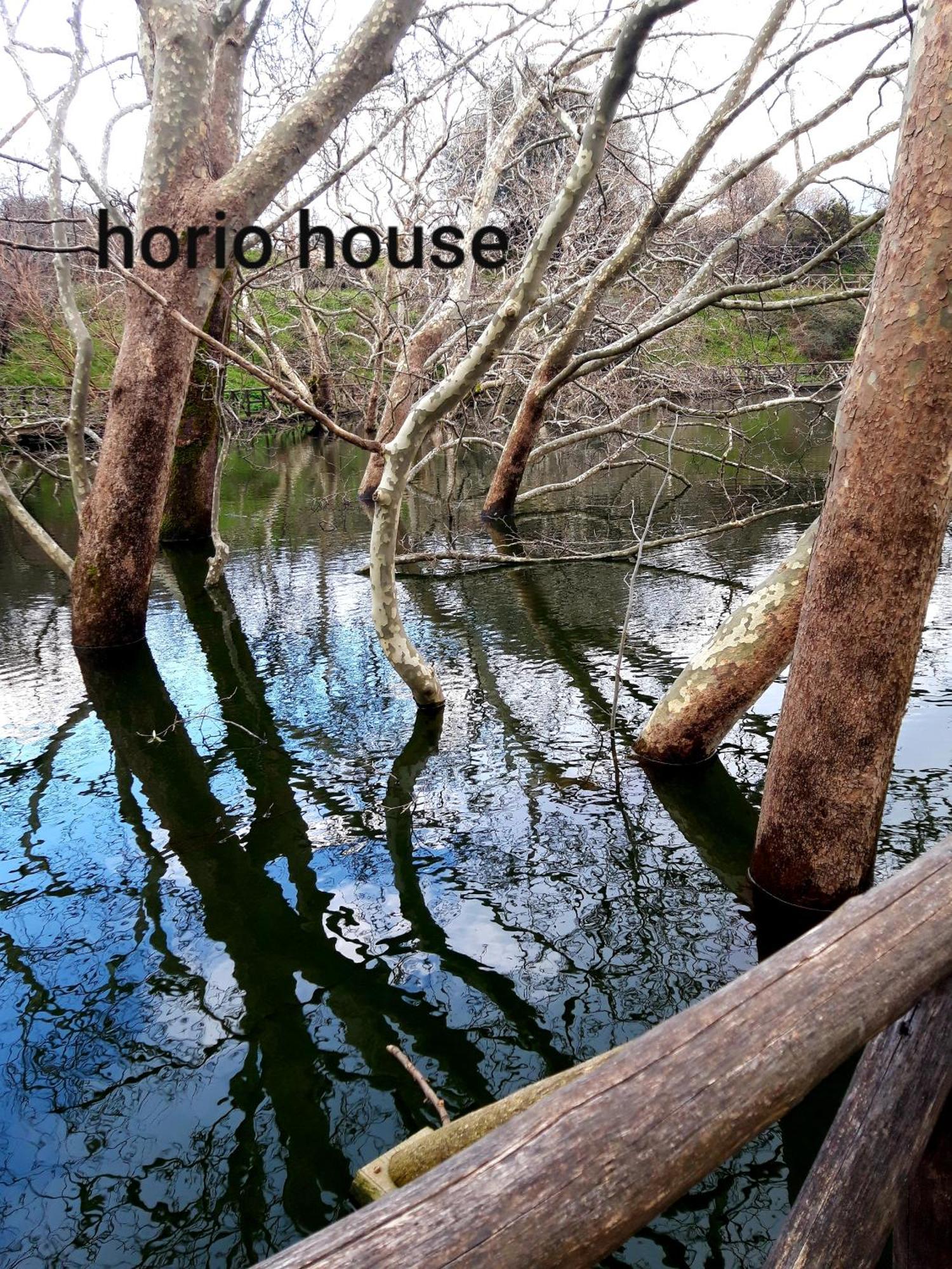 Willa Horio House Limni  Pokój zdjęcie